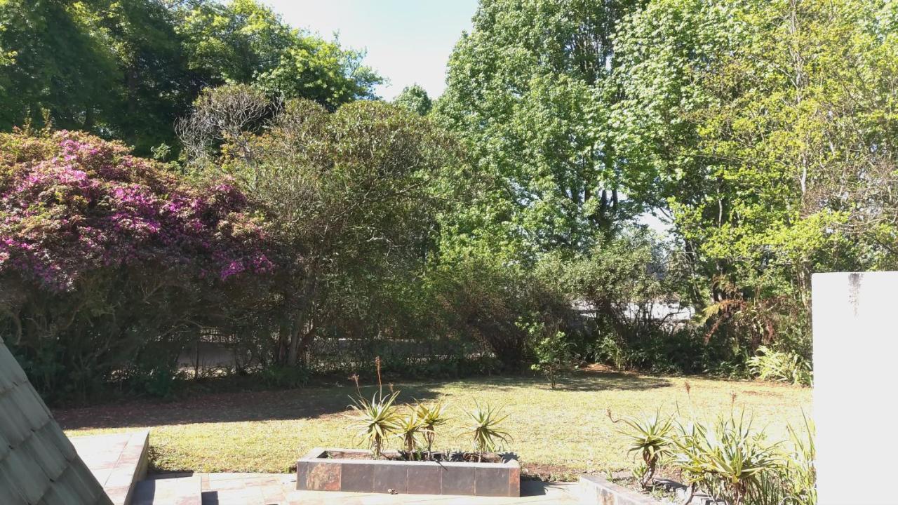 Serenity Graskop, 3 Bedroom A-Frame Cottage エクステリア 写真